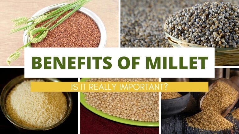 Types of Millets and Their Amazing Health Benefits!!